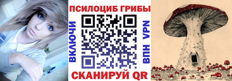 закладки Ельня Псилоцибиновые грибы Magic Shrooms